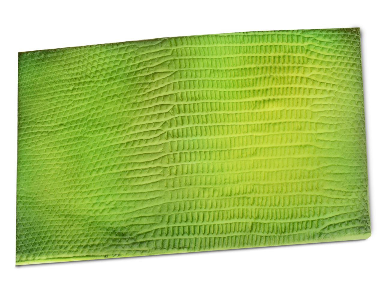 Reptil Silikonform