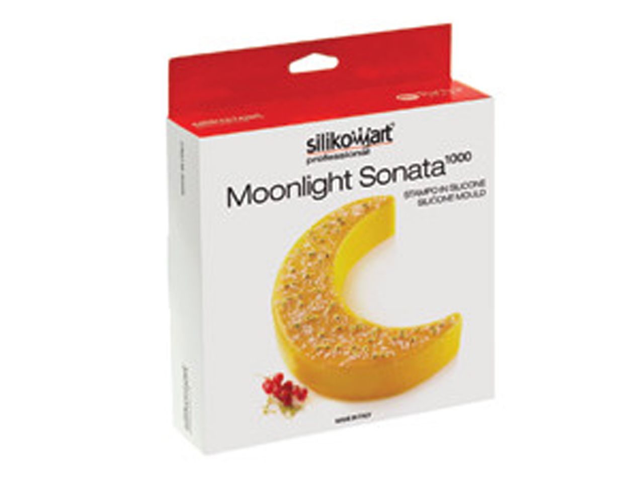 Moonlight Sonata 1000 Silikonform