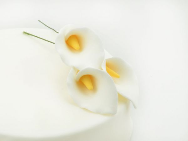 Zuckerblüte Calla 3er