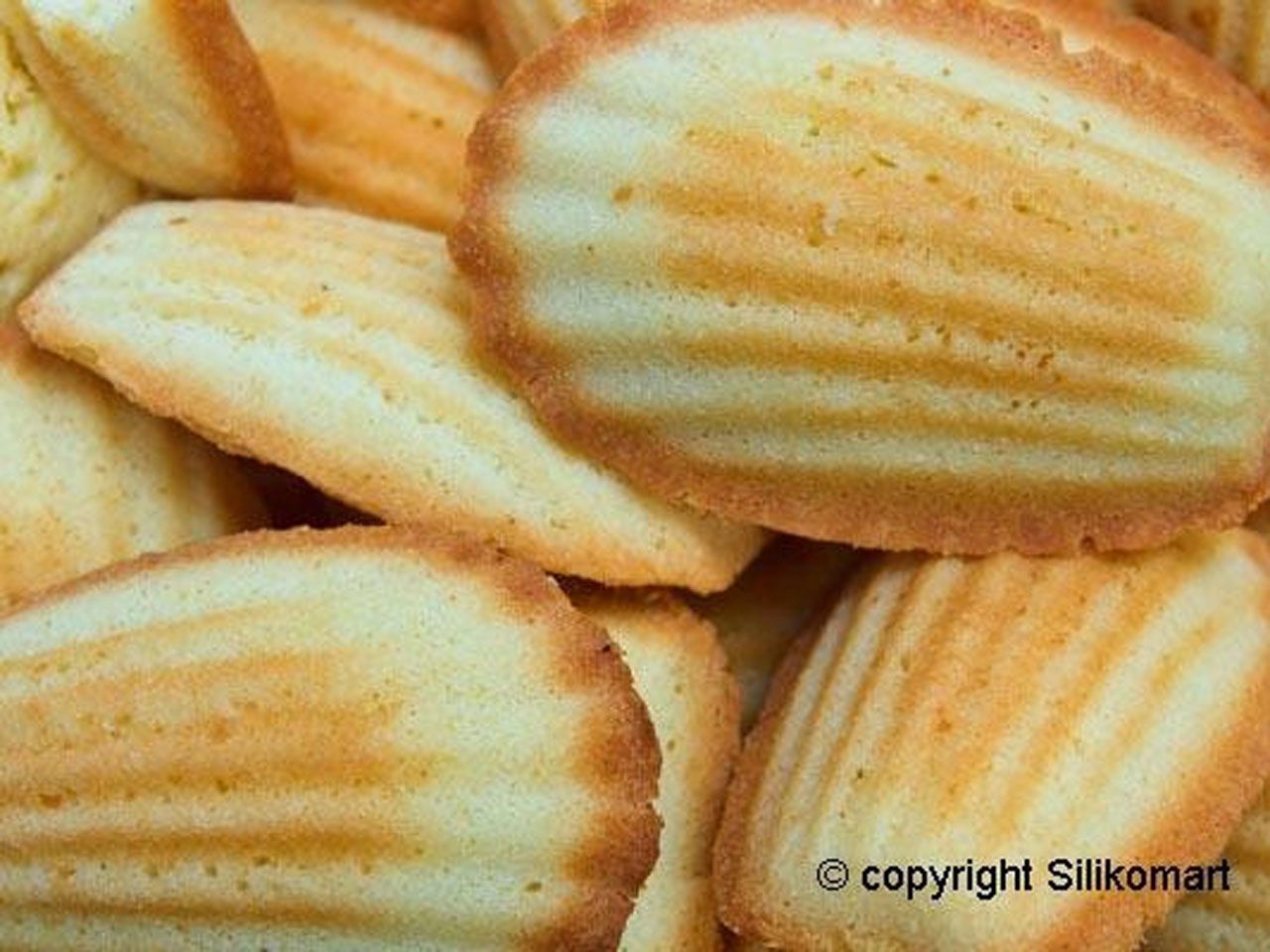 Mini Madeleine Silikonform