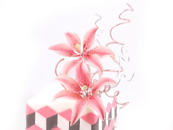 Zuckerblüte Tiger-Lilie 2er